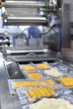 automatic-food-production-line-conveyor-belt-equipment-machinery-factory